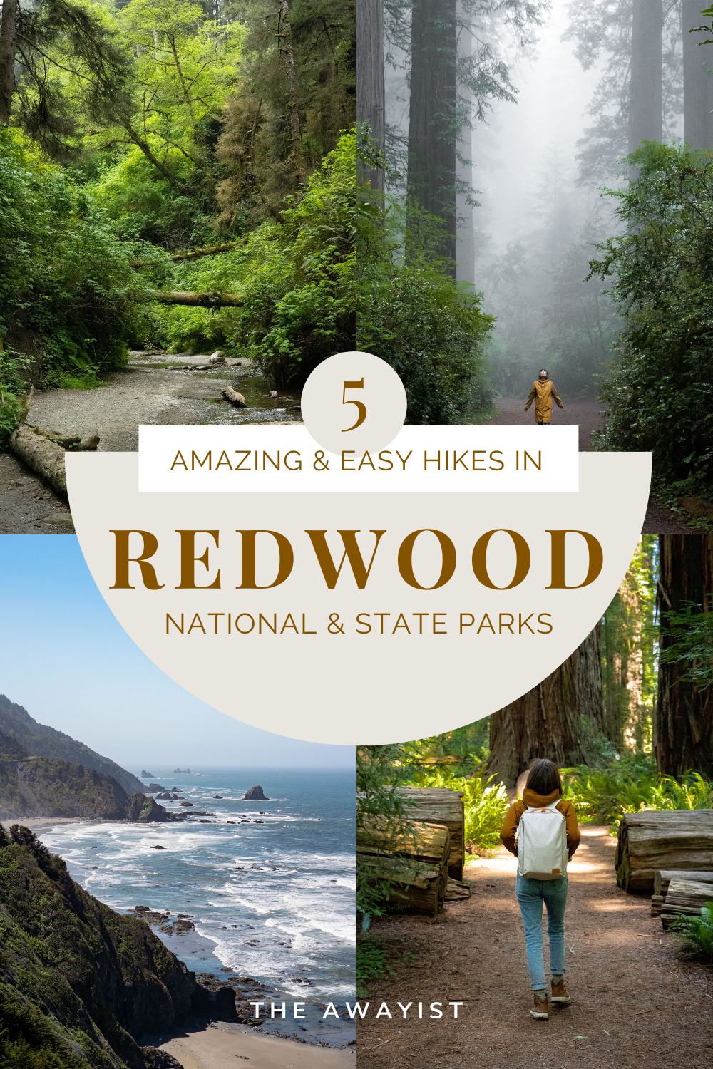 5 Amazing & Easy Hikes In Redwood National Park - The Awayist