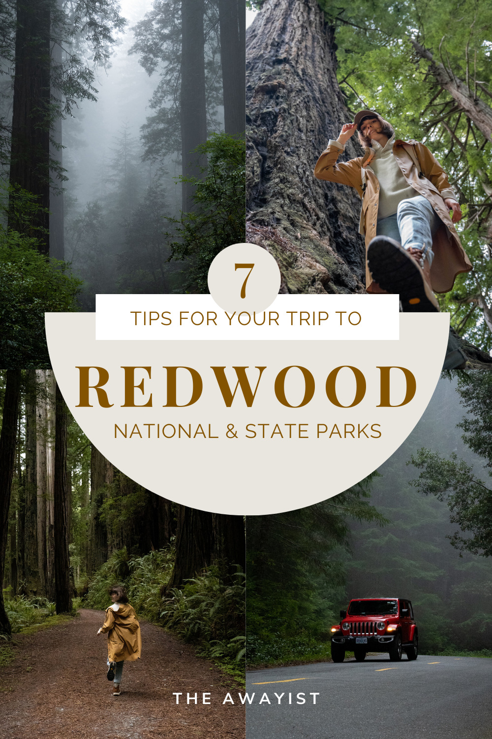 7 Tips For Your First Trip To The Redwoods - The Awayist