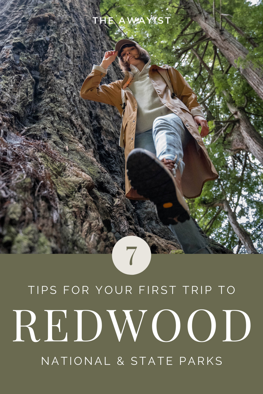 7 Tips For Your First Trip To The Redwoods - The Awayist